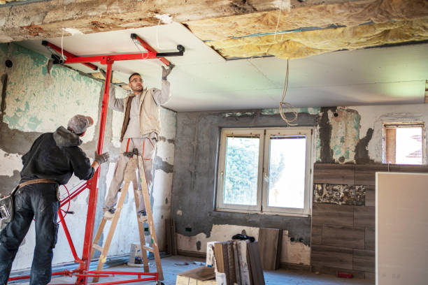 Best Eco-Friendly Insulation in Silver Grove, KY
