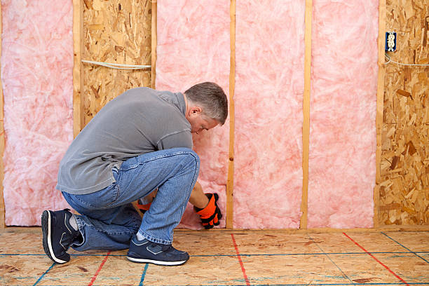 Best Residential Insulation in Silver Grove, KY