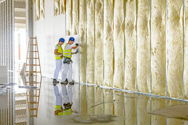 Trusted Silver Grove, KY Insulation Contractor Experts